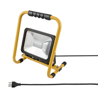 WORKLIGHT proiettore lampadina LED 30W con maniglia di transporto 5m