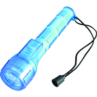 Lampe de poche à LED Plastique bleu