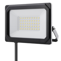 Lampadina muro esterno LED 30W 3300lm IP65 ne