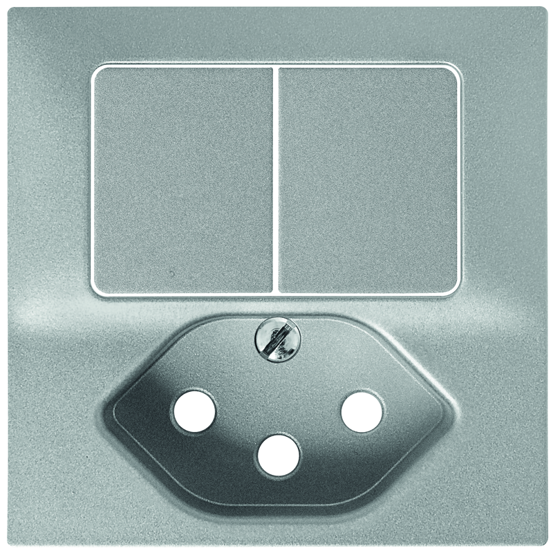 EDIZIOdue Plaque de recouv. petite combinaison interrupteur double/1xT13 gc