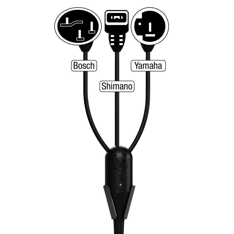 Borne de recharge pour vélos électriques LiON Box S
