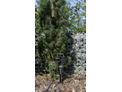 Prises de jardin GardenLine 2xT13 avec disjoncteur de surintensité 3m