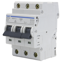 Interruttore automatico 'C' 3x 13A