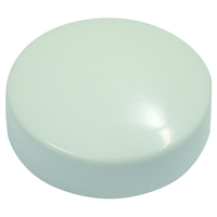 Rosetta da soffitto