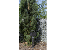 Prises de jardin GardenLine 2xT13 avec disjoncteur de surintensité 3m