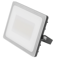 WORKLIGHT proiettore lampadina LED 50W