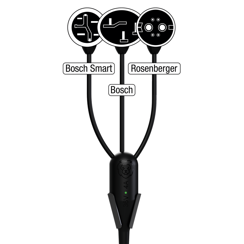E-Bike Ladestation LiON Box S mit Bosch Smart