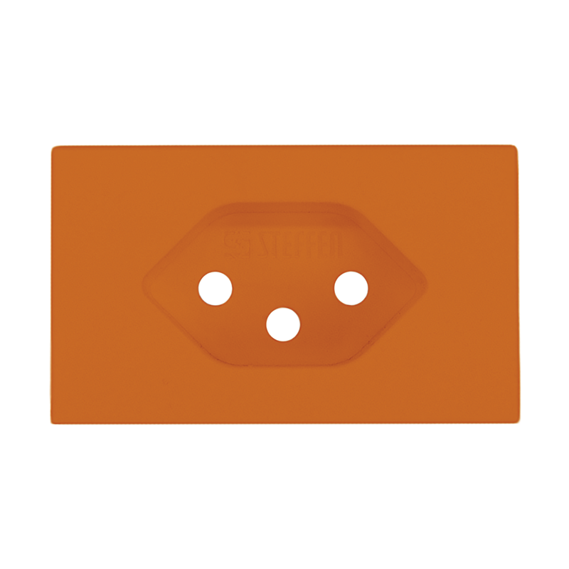 FLF Abdeckplatte Steckdose 1xT13 Gr.1 or