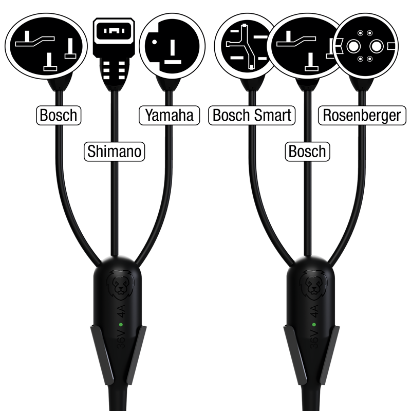Borne de recharge pour vélos électriques LiON Box X avec Bosch Smart