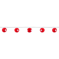 GardenLine guirlande lumineuse LED lampion Swiss Flag, 10x0.06W LED 5.5m IP44