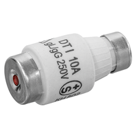 Fusibili DTI 10A ritardati pack con 5 pzi.