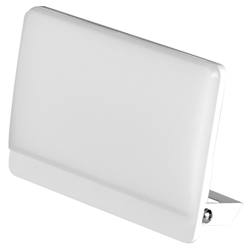 WORKLIGHT proiettore lampadina LED 30W