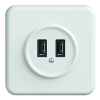STANDARDdue UP-Steckdose 2xUSB-A ws