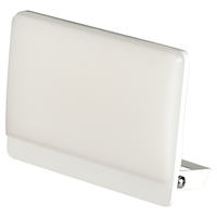 WORKLIGHT proiettore lampadina LED 30W