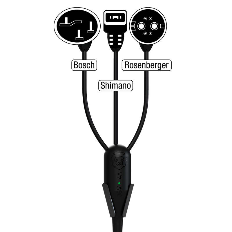 LiON Stazione di ricarica per bici elettriche Box S