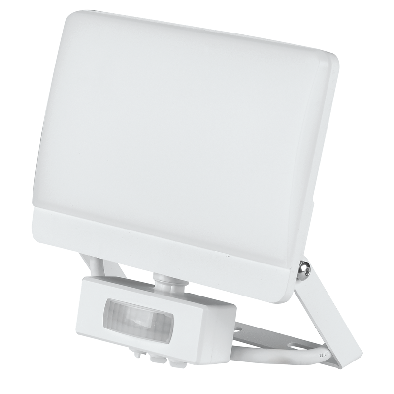WORKLIGHT proiettore lampadina LED 30W con PIR 140° 2-8m