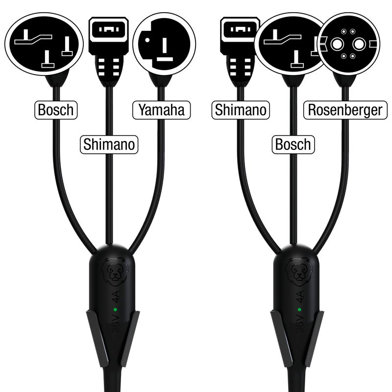 LiON Stazione di ricarica per bici elettriche Box X