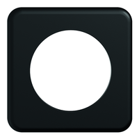 STANDARDdue Piastra di copertura da inc. SEMPLICE Ø 58mm nr