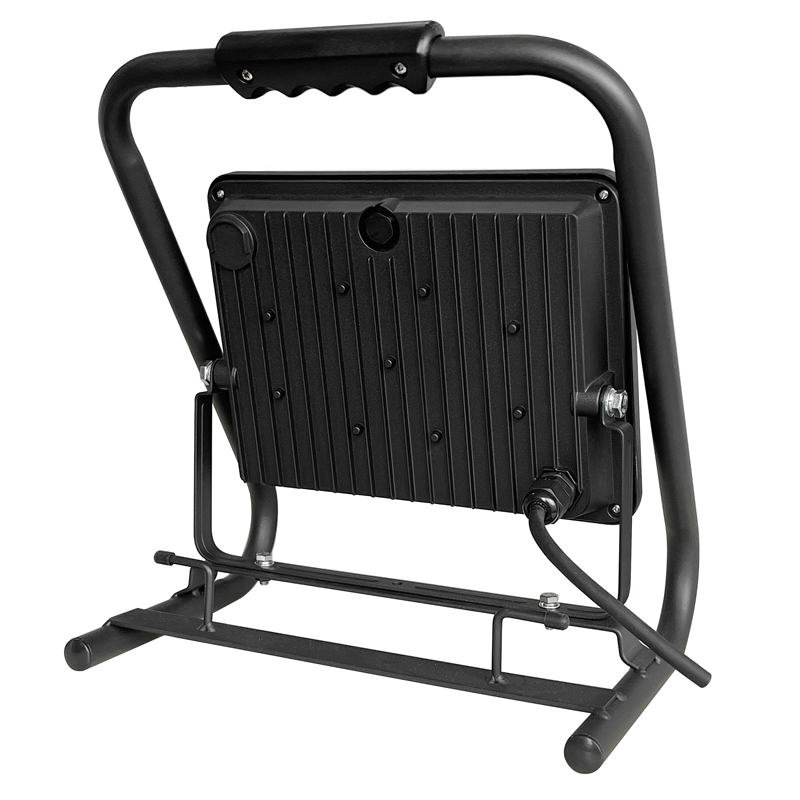 Projecteur à LED WORKLIGHT 100W avec support câble de 5m