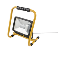 WORKLIGHT proiettore lampadina LED 20W con maniglia di transporto 5m