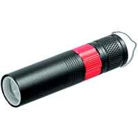 Lampe de poche LED Rouge à lèvres 70