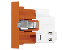 FLF Prise 1xT23 (16A/250V) avec bornes à vis Gr.1 or