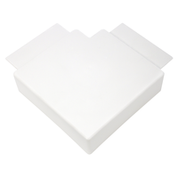 Angolo piatto LF 40x110 bianco