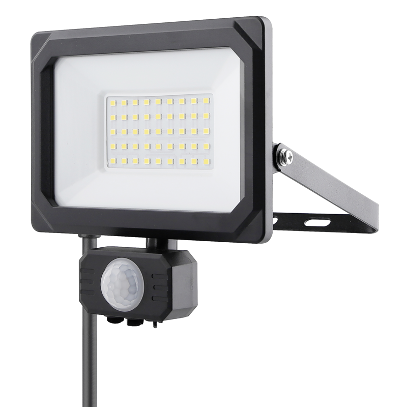 Lampadina muro esterno LED 30W con PIR 120° ne