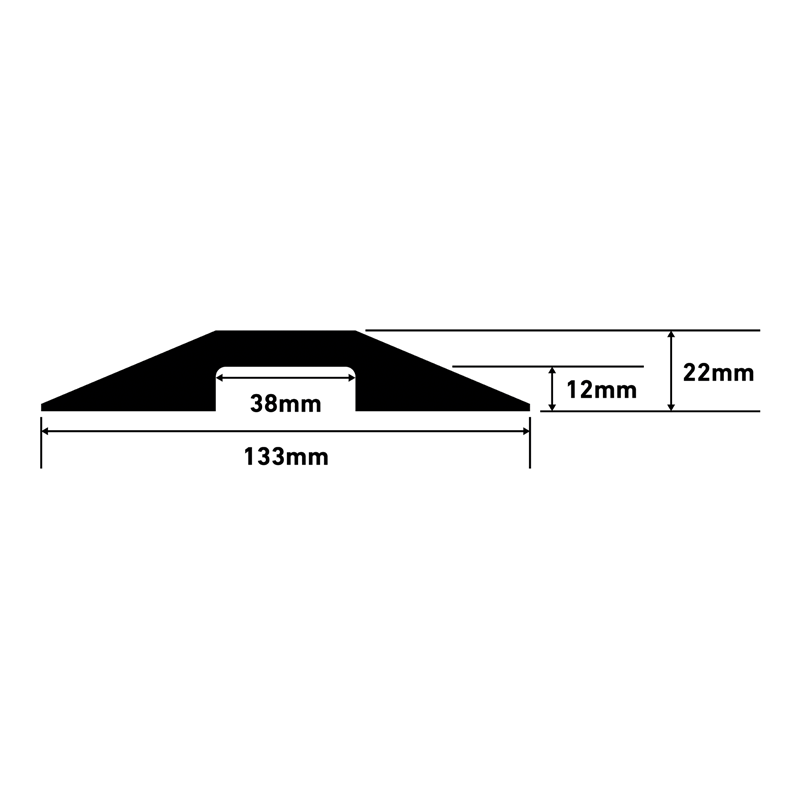 D-Line Goulotte de sol 133x22mm 765mm noire
