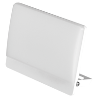 WORKLIGHT projecteur lampe LED 50W