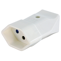 Spina intermedia T13 bianco