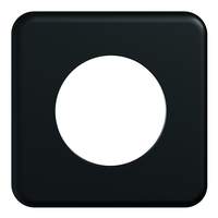 STANDARDdue Piastra di copertura da inc. SEMPLICE Ø 50mm nr