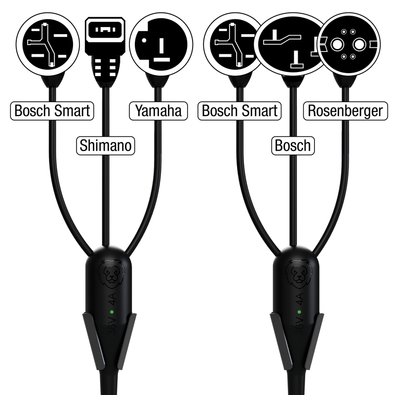 Borne de recharge pour vélos électriques LiON Box X avec 2x Bosch Smart