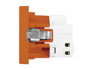 FLF Prise 1xT23 (16A/250V) avec bornes à fiche Gr.1 or
