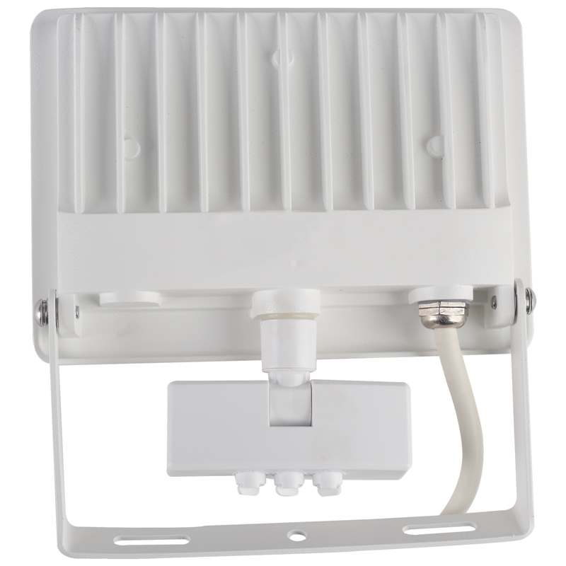 WORKLIGHT projecteur lampe LED 30W avec PIR 140° 2-8m