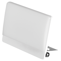 WORKLIGHT proiettore lampadina LED 15W