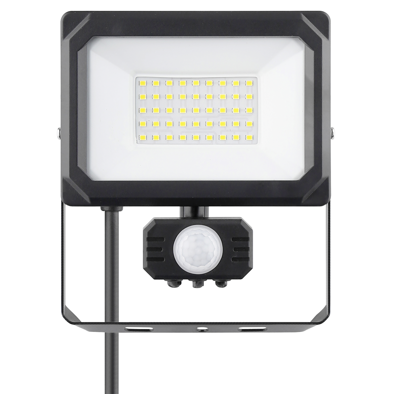 Lampadina muro esterno LED 30W con PIR 120° ne
