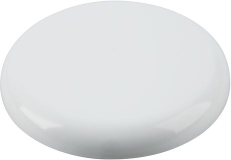 ROSONI A SOFFITTO 