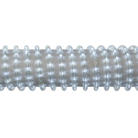 LightVision tuyau lumineux LED 45m cw